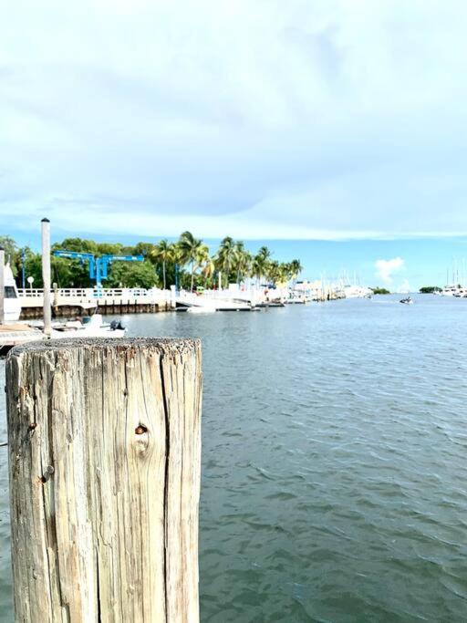 Groveo6 10 Minutes From The Beach Miami Exterior foto
