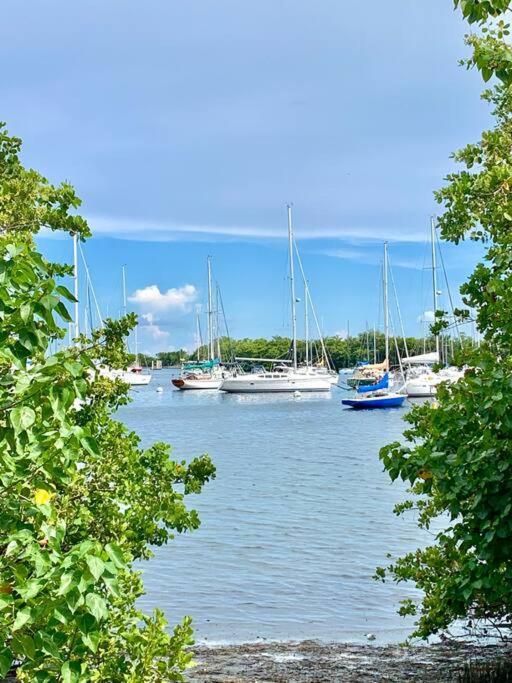 Groveo6 10 Minutes From The Beach Miami Exterior foto